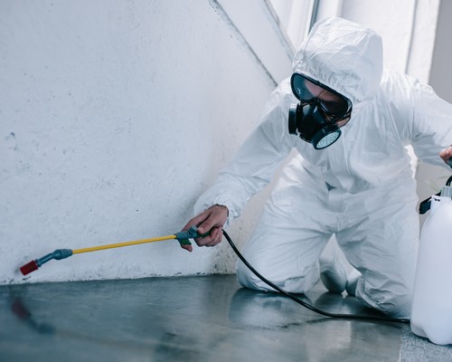 general pest control service in Medinipur