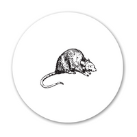 SPC Pest Control Service