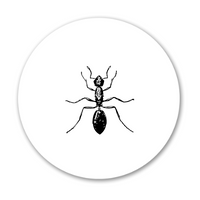 SPC Pest Control Service