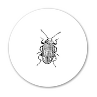 SPC Pest Control Service