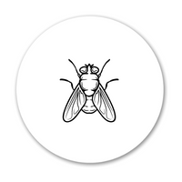 SPC Pest Control Service