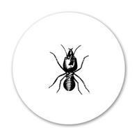 SPC Pest Control Service