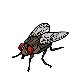 general pest control service in Medinipur